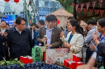 保靖黄金茶三茶统筹发展大会助力乡村振兴 保靖黄金茶“三茶统筹”高质量发展大会成功举办