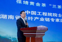 保靖黄金茶三茶统筹发展大会助力乡村振兴 保靖黄金茶“三茶统筹”高质量发展大会成功举办