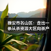 雅安市名山区:走出一条从茶资源大区向茶产业强区跨越式发展之路(图1) 雅安市名山区:走出一条从茶资源大区向茶产业强区跨越式发展之路(图1)