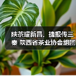 陕茶耀新昌,捷报传三秦 陕西省茶业协会组团出席第二十一届中国茶业经济年会并获得多项殊荣(图4) 陕茶耀新昌,捷报传三秦 陕西省茶业协会组团出席第二十一届中国茶业经济年会并获得多项殊荣(图4)
