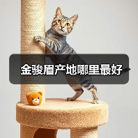 金骏眉产地哪里最好(图2) 金骏眉产地哪里最好(图2)
