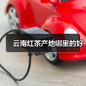 云南红茶产地哪里的好(图4) 云南红茶产地哪里的好(图4)