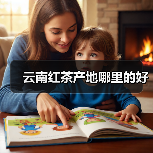 云南红茶产地哪里的好(图3) 云南红茶产地哪里的好(图3)