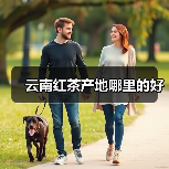 云南红茶产地哪里的好(图2) 云南红茶产地哪里的好(图2)