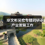 廖文彬吴宏专题调研茶产业发展工作(图4) 廖文彬吴宏专题调研茶产业发展工作(图4)