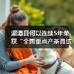 湄潭县何以连续5年荣获“全国重点产茶县域”第一名？（图1）