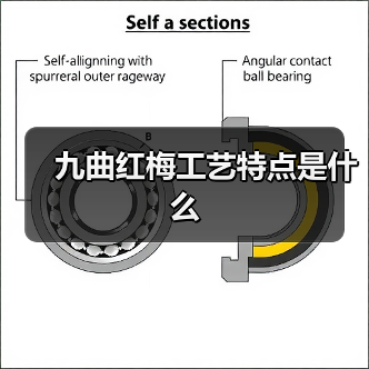 九曲红梅工艺特点是什么（图3）