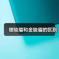 银骏眉和金骏眉的区别（图2）