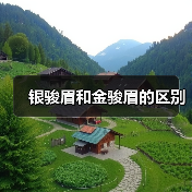 银骏眉和金骏眉的区别（图4）