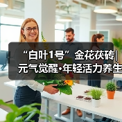 “白叶1号”金花茯砖|元气觉醒·年轻活力养生茶(图1) “白叶1号”金花茯砖|元气觉醒·年轻活力养生茶(图1)