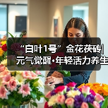 “白叶1号”金花茯砖|元气觉醒·年轻活力养生茶(图2) “白叶1号”金花茯砖|元气觉醒·年轻活力养生茶(图2)