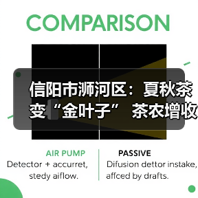 信阳市浉河区：夏秋茶变“金叶子” 茶农增收有奔头（图1）