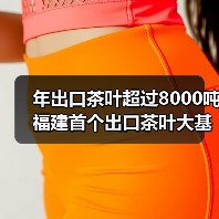 年出口茶叶超过8000吨 福建首个出口茶叶大基地落地安溪（图1）