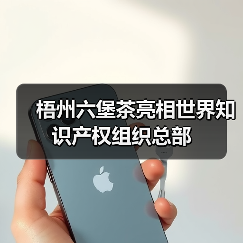 梧州六堡茶亮相世界知识产权组织总部（图4）