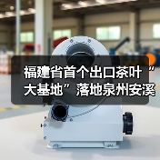 福建省首个出口茶叶“大基地”落地泉州安溪（图2）