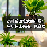 茶叶普遍难卖的市场：中小树山头茶，现在卖不动，以后更难卖！（图4）