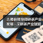 古蔺县领导调研茶产业发展--深耕茶产业赋能乡村振兴（图1）