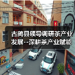 古蔺县领导调研茶产业发展--深耕茶产业赋能乡村振兴（图2）