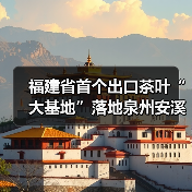 福建省首个出口茶叶“大基地”落地泉州安溪（图1）