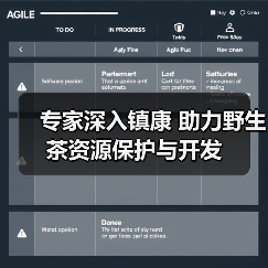 专家深入镇康 助力野生茶资源保护与开发（图1）