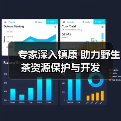 专家深入镇康 助力野生茶资源保护与开发（图4）