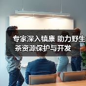 专家深入镇康 助力野生茶资源保护与开发（图2）