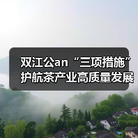 双江公an“三项措施”护航茶产业高质量发展（图1）