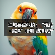 江城县勐烈镇：“理论+实操”培训 助推茶产业发展（图4）