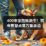 400年茶路焕新生！晋商智慧点亮万里茶道（图2）