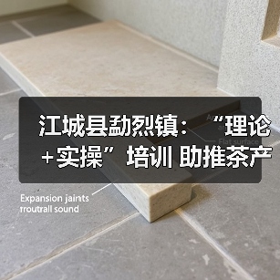 江城县勐烈镇：“理论+实操”培训 助推茶产业发展（图2）
