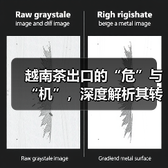 越南茶出口的“危”与“机”，深度解析其转型“阵痛”与市场新动向（图1）