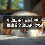 年出口茶叶超过8000吨 福建首个出口茶叶大基地落地安溪（图4）
