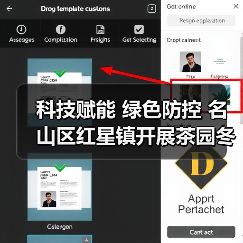 科技赋能 绿色防控 名山区红星镇开展茶园冬管社会化服务千亩示范(图3) 科技赋能 绿色防控 名山区红星镇开展茶园冬管社会化服务千亩示范(图3)
