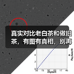 真实对比老白茶和做旧茶，有图有真相，别再踩坑上当了！（图4）
