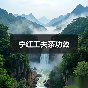 宁红工夫茶功效(图2) 宁红工夫茶功效(图2)