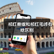 祁红香螺和祁红毛峰有啥区别(图3) 祁红香螺和祁红毛峰有啥区别(图3)