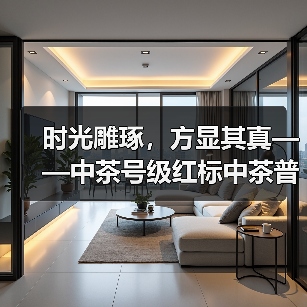 时光雕琢，方显其真——中茶号级红标中茶普洱茶（图3）