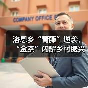 洛恩乡“青藤”逆袭，“金茶”闪耀乡村振兴路（图4）