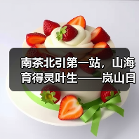 南茶北引第一站，山海育得灵叶生——岚山日照绿茶（图2）