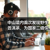 中山境内首次发现野生普洱茶，为国家二级保护植物（图1）