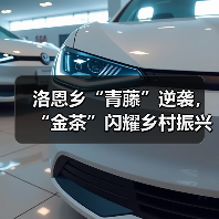 洛恩乡“青藤”逆袭，“金茶”闪耀乡村振兴路（图1）