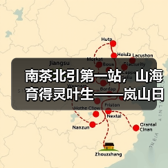 南茶北引第一站，山海育得灵叶生——岚山日照绿茶（图3）