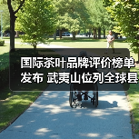 国际茶叶品牌评价榜单发布 武夷山位列全球县级产区榜首（图2）