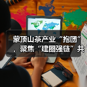 蒙顶山茶产业“抱团”，聚焦“建圈强链”共谋产业发展（图4）