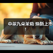 中茶九朵茉莉 焕新上市！（图3）