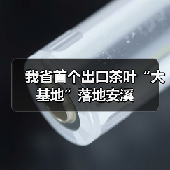 我省首个出口茶叶“大基地”落地安溪（图1）