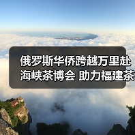俄罗斯华侨跨越万里赴海峡茶博会 助力福建茶叶“走出去”（图1）