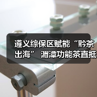遵义综保区赋能“黔茶出海” 湄潭功能茶直抵越南海防市（图3）
