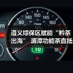 遵义综保区赋能“黔茶出海” 湄潭功能茶直抵越南海防市（图4）