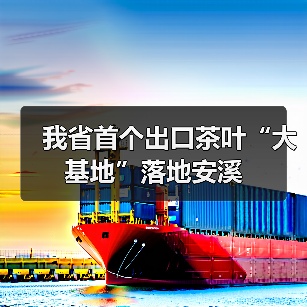 我省首个出口茶叶“大基地”落地安溪（图2）